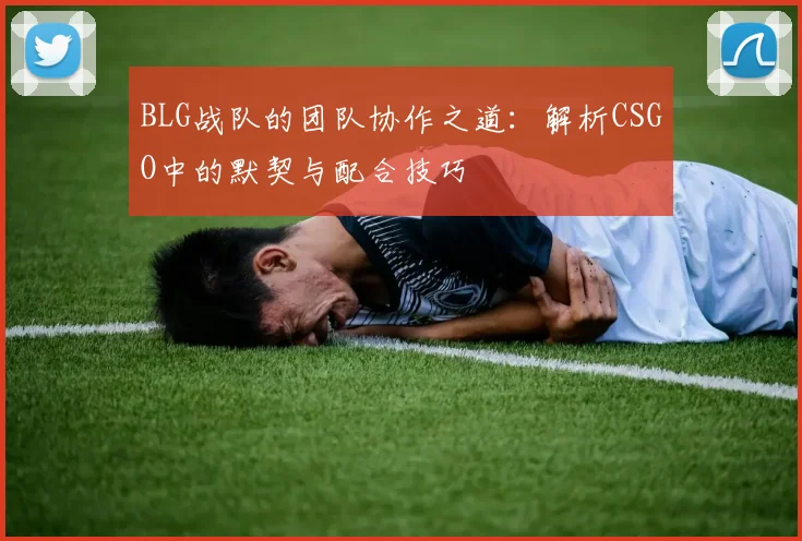 BLG战队的团队协作之道：解析CSGO中的默契与配合技巧